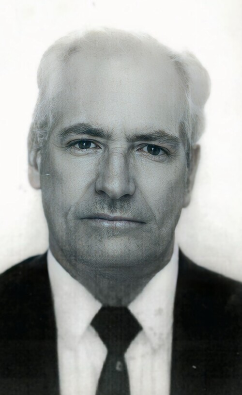 Alfeu Rodrigues da Silva  (Arena)